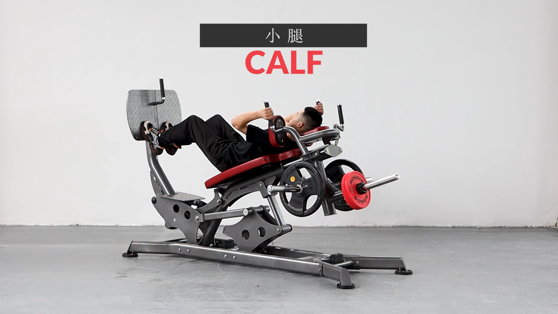 Hot Selling Gym Equipment Leg  – Home Gym With Leg Press recenzja i cena