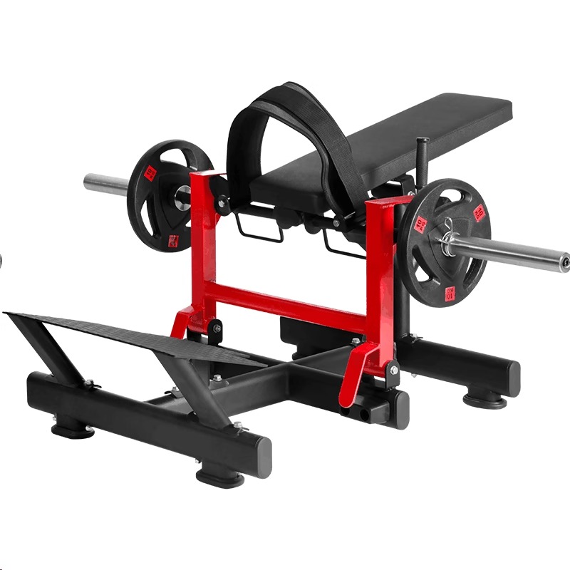 Glute and abdominal exercise m – Leg Press Machine recenzja i cena